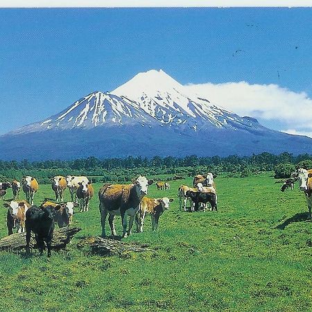 Wheatly Downs Farmstay And Backpackers Hawera Zewnętrze zdjęcie